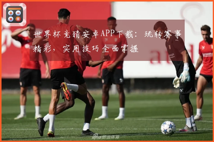 世界杯竞猜安卓APP下载：玩转赛事精彩，实用技巧全面掌握