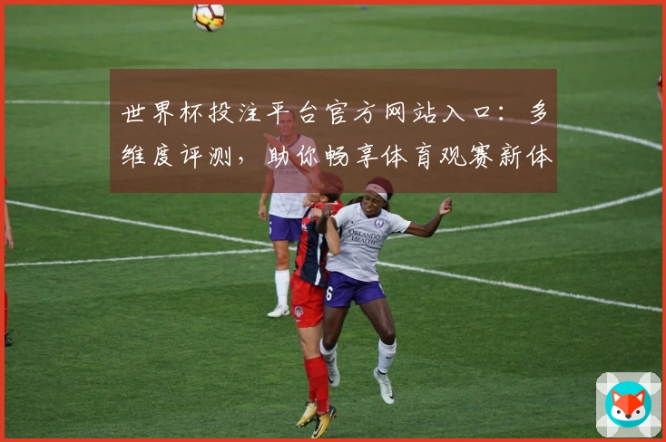世界杯投注平台官方网站入口：多维度评测，助你畅享体育观赛新体验